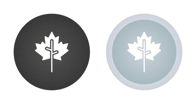 Maple leaf Vector Icon