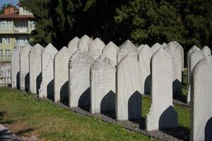 Old Graveyard in Bursa, Turkiye photo