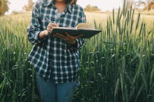 Smart farm. Farmer with tablet in the field. Agriculture, gardening or ecology concept. Harvesting. Agro business. photo