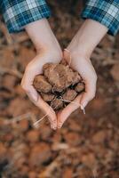 Top view of soil in hands for check the quality of the soil for control soil quality before seed plant. Future agriculture concept. Smart farming, using modern technologies in agriculture photo