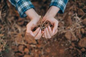 Top view of soil in hands for check the quality of the soil for control soil quality before seed plant. Future agriculture concept. Smart farming, using modern technologies in agriculture photo