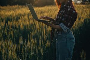 Smart farm. Farmer with tablet in the field. Agriculture, gardening or ecology concept. Harvesting. Agro business. photo