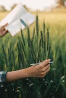 Smart farm. Farmer with tablet in the field. Agriculture, gardening or ecology concept. Harvesting. Agro business. photo