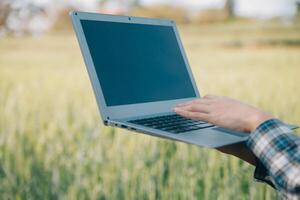 Smart farm. Farmer with tablet in the field. Agriculture, gardening or ecology concept. Harvesting. Agro business. photo