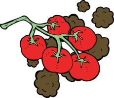 pomodori verdi sull'illustrazione della vite png