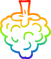 rainbow gradient line drawing of a cartoon raspberry png