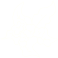 desenho de giz de planta png