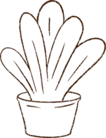 plant houtskool tekening png