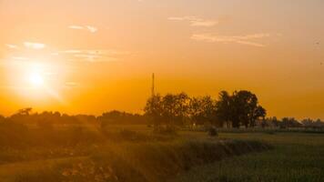 el atmósfera de el puesta de sol en rural arroz campos es calma y relajante foto
