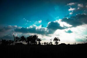 rural view in the afternoon photo