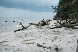 View of a white sand beach with cloudy weather and skies photo