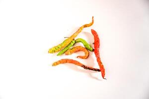 Dried and rotting chili peppers isolated on white background photo