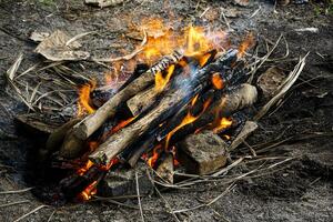 The flames from burning traditional firewood before being used to grill food photo