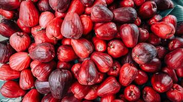 Fresh red Jamaican guava fruit that has just been harvested photo