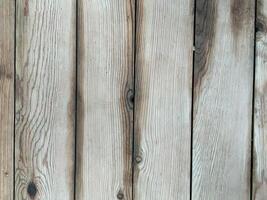 Natural Wood texture photo