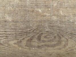 Natural Wood texture photo