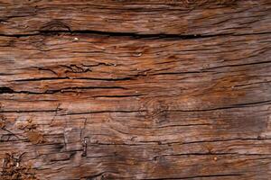 inmerso en el belleza de un hermosa de madera fondo, dónde calentar granos crear un atractivo tapiz de de la naturaleza sencillez, un clásico lona ofrecimiento rústico encanto y duradero apelación foto