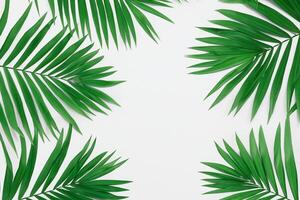 Reveling in the Tropical Splendor of Beautiful Palm Leaves, Where Sun-Kissed Fronds Sway in Nature's Rhythm, Crafting a Breathtaking Tapestry of Exotic Elegance and Endless Tranquility photo