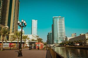 Sharjah city, view of the modern city, seagulls in the city photo