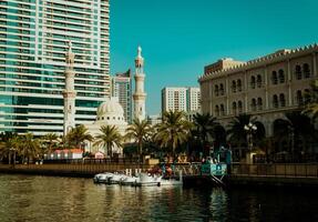 Sharjah city, view of the modern city, seagulls in the city photo