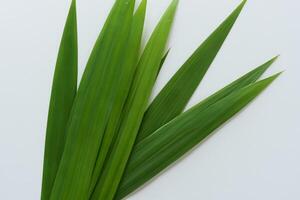 un culinario Odisea con el hermosa pandan hoja, infundir delicado aromas y vibrante verde matices dentro Exquisito platos, elevando sabor perfiles con de la naturaleza Fresco elegancia foto