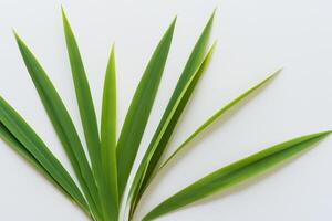 un culinario Odisea con el hermosa pandan hoja, infundir delicado aromas y vibrante verde matices dentro Exquisito platos, elevando sabor perfiles con de la naturaleza Fresco elegancia foto