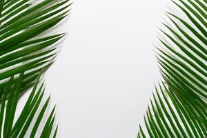 jolgorio en el tropical esplendor de hermosa palma hojas, dónde besado por el Sol frondas influencia en de la naturaleza ritmo, elaboración un asombroso tapiz de exótico elegancia y interminable tranquilidad foto