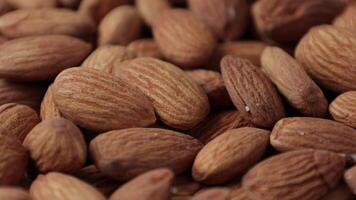 Closeup of almond, brown almonds, closeup of nut, nut background video