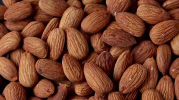 Closeup of almond, brown almonds, closeup of nut, nut background video