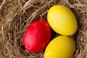 Easter Delight Reveling in the Beauty of Beautiful Easter Eggs, where Vibrant Hues Dance on Smooth Shells, Creating a Whimsical Kaleidoscope of Joy, Sprinkling Festive Cheer and Colorful Elegance photo