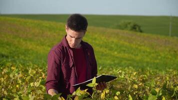 giovane contadino scrive giù il crescita aliquote di semi di soia. concetto ecologia, bio Prodotto, ispezione, naturale prodotti video