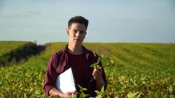 Farmer mit Notizblock suchen beim Kamera auf Sojabohne Feld video