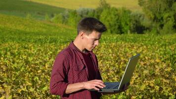 A plant specialist with laptop, checking the field soy a background of greenery. Concept ecology, bio product, natural products video