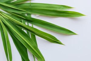 un culinario Odisea con el hermosa pandan hoja, infundir delicado aromas y vibrante verde matices dentro Exquisito platos, elevando sabor perfiles con de la naturaleza Fresco elegancia foto