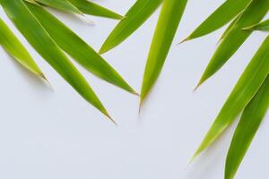 un culinario Odisea con el hermosa pandan hoja, infundir delicado aromas y vibrante verde matices dentro Exquisito platos, elevando sabor perfiles con de la naturaleza Fresco elegancia foto