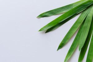 un culinario Odisea con el hermosa pandan hoja, infundir delicado aromas y vibrante verde matices dentro Exquisito platos, elevando sabor perfiles con de la naturaleza Fresco elegancia foto