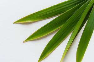 un culinario Odisea con el hermosa pandan hoja, infundir delicado aromas y vibrante verde matices dentro Exquisito platos, elevando sabor perfiles con de la naturaleza Fresco elegancia foto