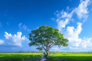 AI generated Isolated Bodhi tree in paddy field Serene with blue sky photo