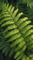 AI generated Fern plants in forest Natural ferns with textured leaf background Vertical Mobile Wallpaper photo