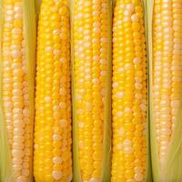 AI generated Closeup of corn kernels in a row on fresh cobs For Social Media Post Size photo