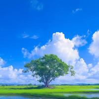 AI generated Lonely Bodhi tree against blue sky in peaceful paddy field For Social Media Post Size photo