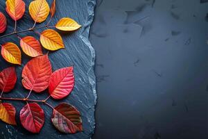 AI generated Colored foliage Autumn leaves on slate, top view, with copy space photo