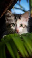 AI generated Kitten with captivating green eyes enjoys a playful, relaxing vacation Vertical Mobile Wallpaper photo