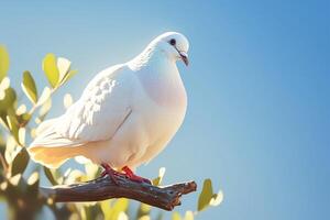 AI generated Peaceful perch Pigeon on branch against blue sky, Peace Day photo