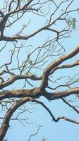 AI generated Dead tree branches due to dry season against vibrant blue sky Vertical Mobile Wallpaper photo