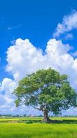 AI generated Isolated Bodhi tree in paddy field Serene with blue sky Vertical Mobile Wallpaper photo