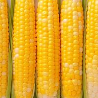 AI generated Closeup of corn kernels in a row on fresh cobs For Social Media Post Size photo