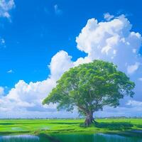ai generado ver solitario bodhi árbol en arrozal campo blanco nubes, azul cielo para social medios de comunicación enviar Talla foto
