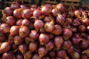 AI generated Traditional market scene Shallots neatly displayed for sale photo