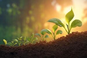 AI generated Sunlit agriculture plant seedlings Growing in germination sequence on fertile soil photo